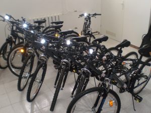 P8010516 (Kopiowanie)